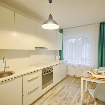 Snow Apartament Druskieniki