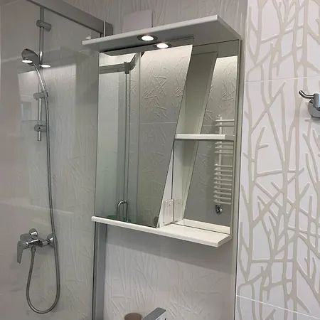 Apartament Snow Druskieniki