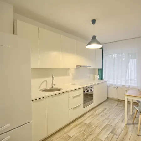 Snow Apartament Druskieniki