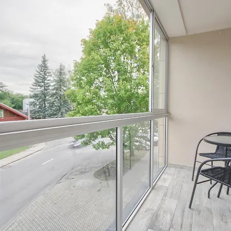 Apartament Snow Druskieniki