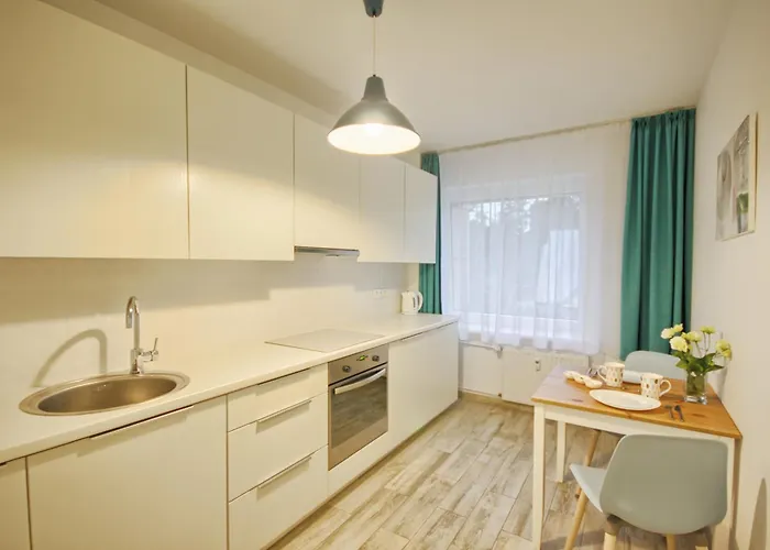 Snow Apartament Druskieniki