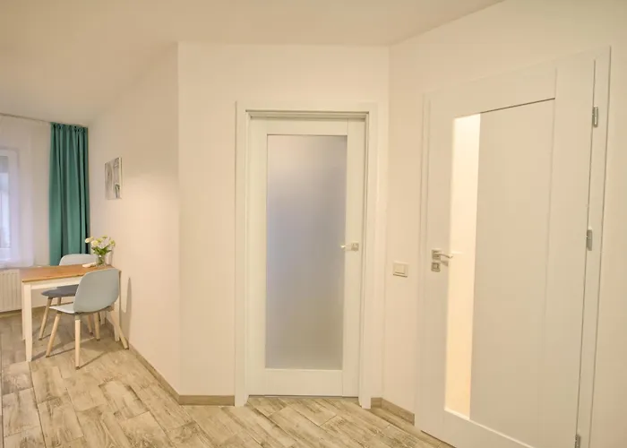 Snow Apartament Druskieniki